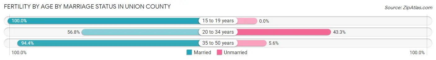 Female Fertility by Age by Marriage Status in Union County