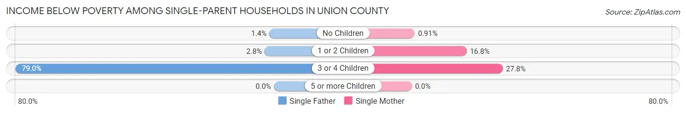 Income Below Poverty Among Single-Parent Households in Union County