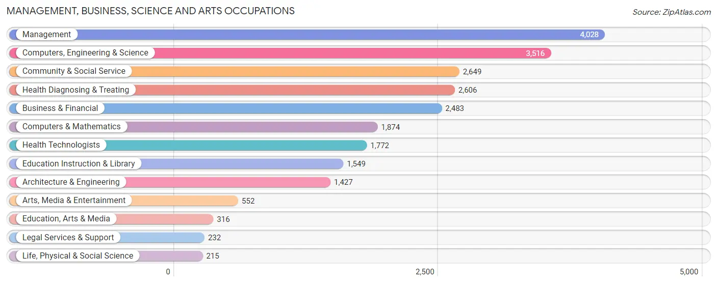 Management, Business, Science and Arts Occupations in Union County