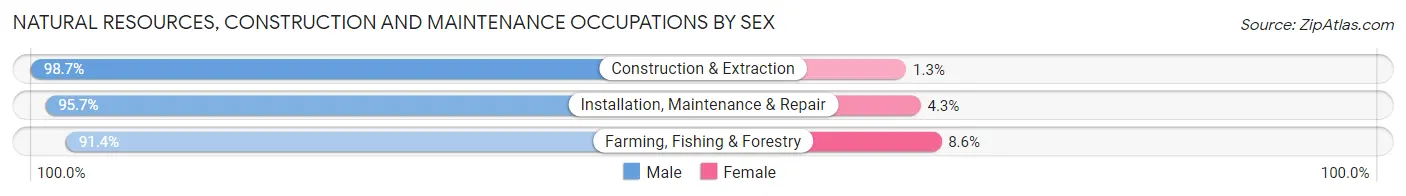 Natural Resources, Construction and Maintenance Occupations by Sex in Union County
