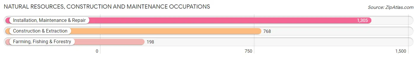 Natural Resources, Construction and Maintenance Occupations in Union County
