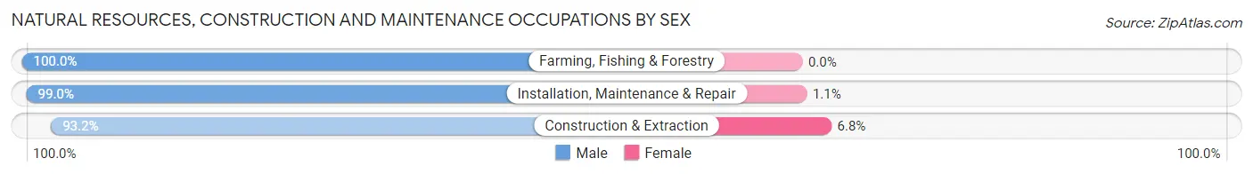 Natural Resources, Construction and Maintenance Occupations by Sex in Vinton County
