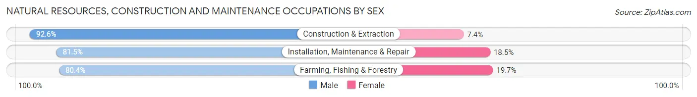 Natural Resources, Construction and Maintenance Occupations by Sex in Adair County