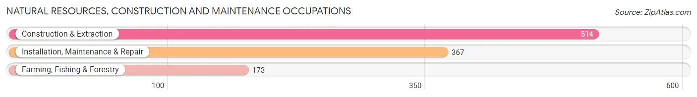 Natural Resources, Construction and Maintenance Occupations in Adair County