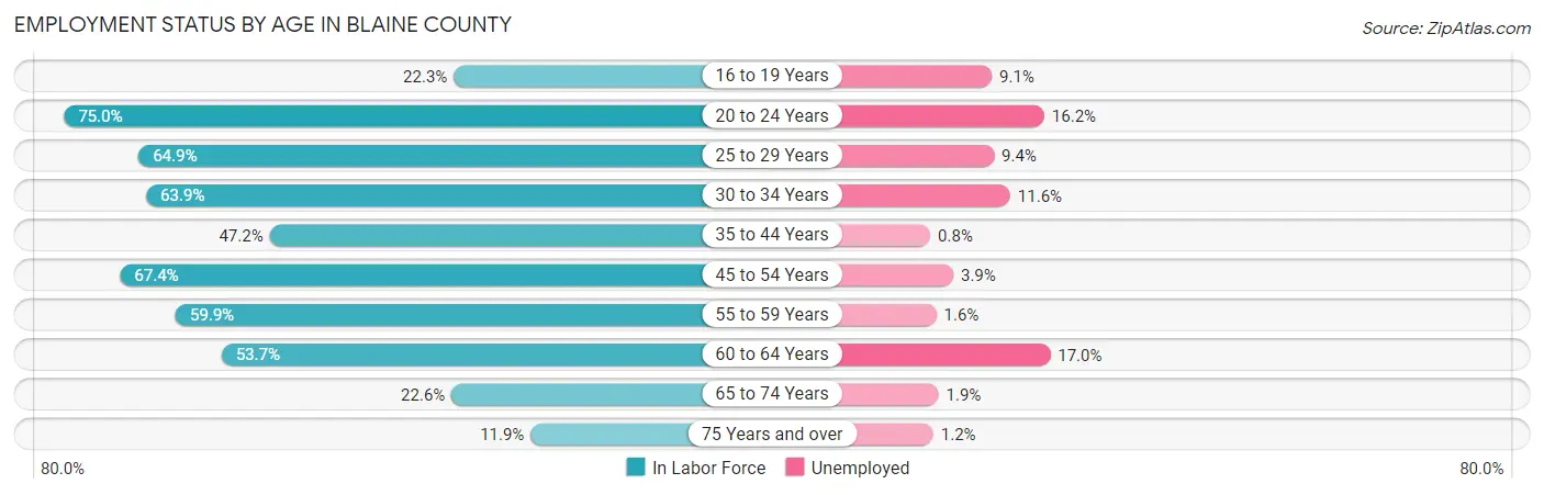Employment Status by Age in Blaine County