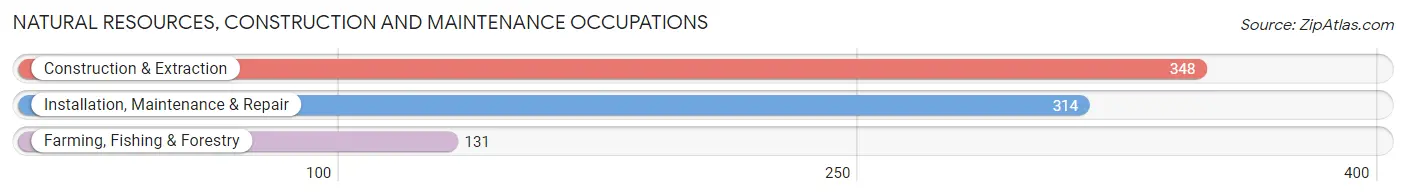 Natural Resources, Construction and Maintenance Occupations in Craig County