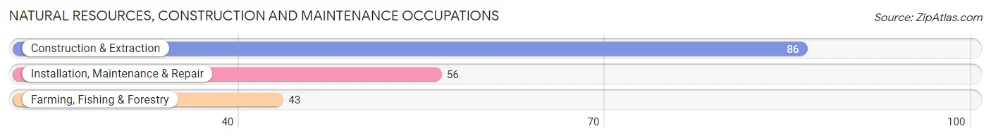 Natural Resources, Construction and Maintenance Occupations in Greer County