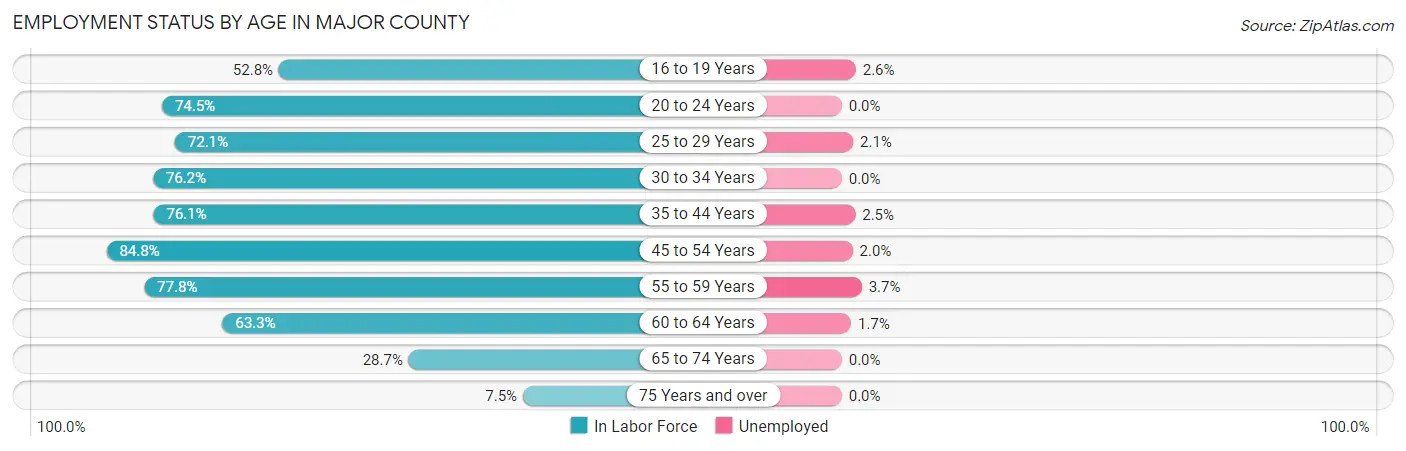 Employment Status by Age in Major County