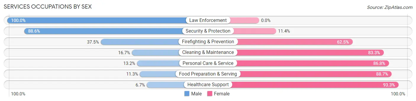 Services Occupations by Sex in Major County