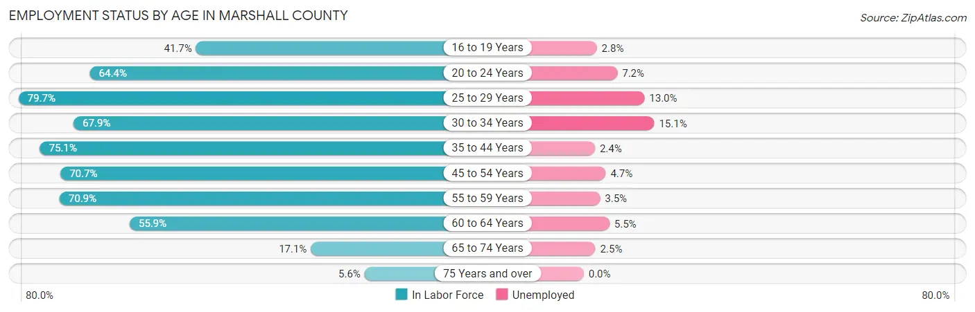 Employment Status by Age in Marshall County