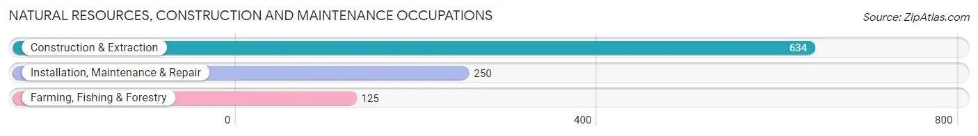Natural Resources, Construction and Maintenance Occupations in McIntosh County