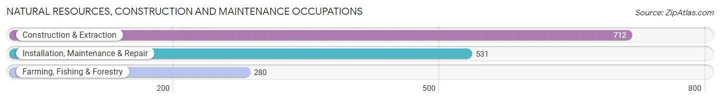 Natural Resources, Construction and Maintenance Occupations in Ottawa County
