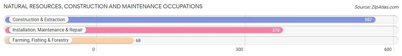 Natural Resources, Construction and Maintenance Occupations in Pawnee County