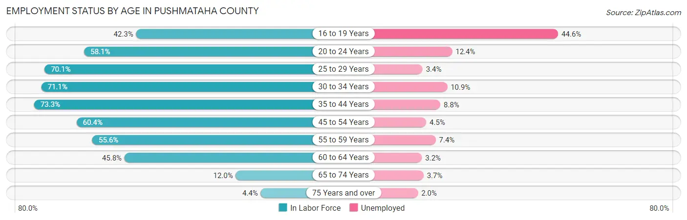 Employment Status by Age in Pushmataha County