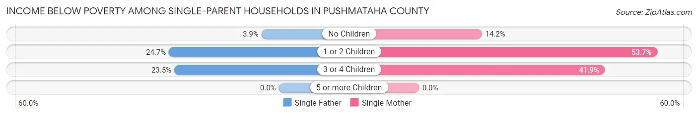 Income Below Poverty Among Single-Parent Households in Pushmataha County