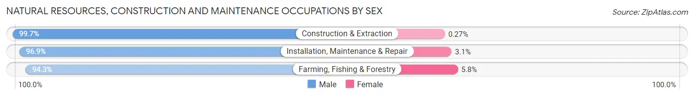 Natural Resources, Construction and Maintenance Occupations by Sex in Pushmataha County
