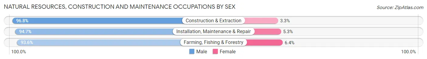 Natural Resources, Construction and Maintenance Occupations by Sex in Tillman County