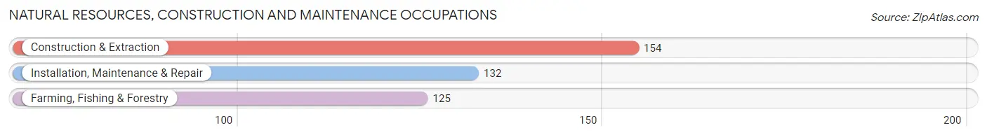 Natural Resources, Construction and Maintenance Occupations in Tillman County