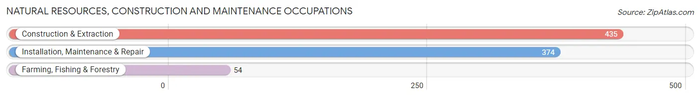 Natural Resources, Construction and Maintenance Occupations in Washita County