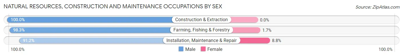 Natural Resources, Construction and Maintenance Occupations by Sex in Woods County