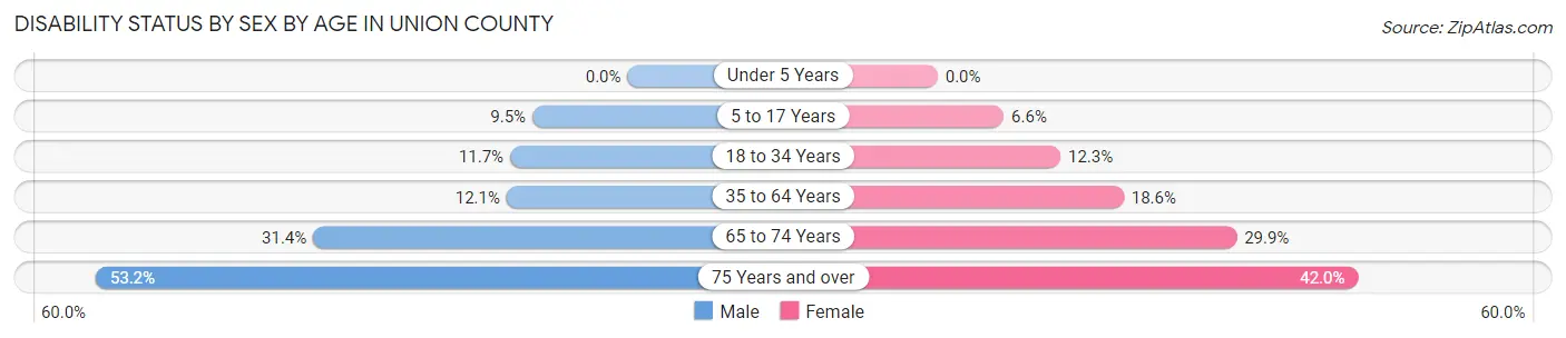 Disability Status by Sex by Age in Union County