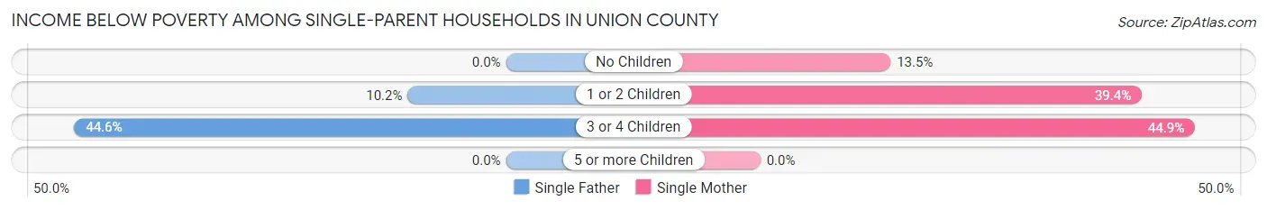 Income Below Poverty Among Single-Parent Households in Union County