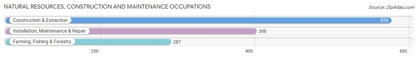 Natural Resources, Construction and Maintenance Occupations in Union County