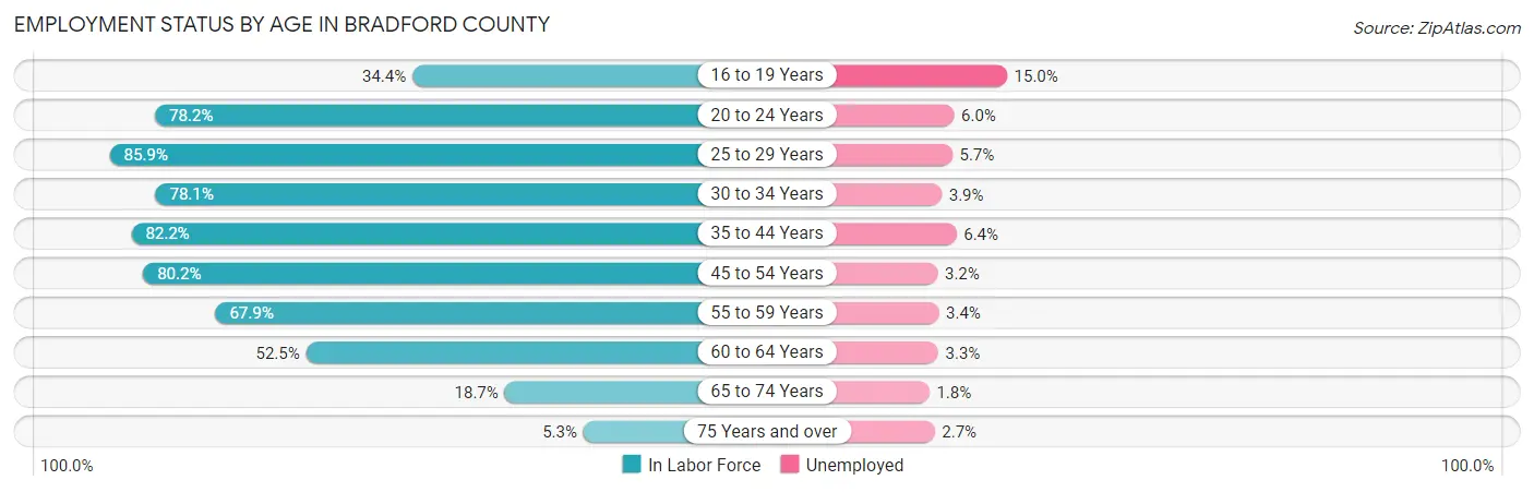 Employment Status by Age in Bradford County