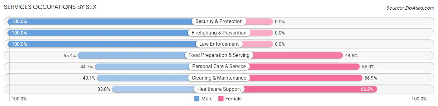 Services Occupations by Sex in Cameron County