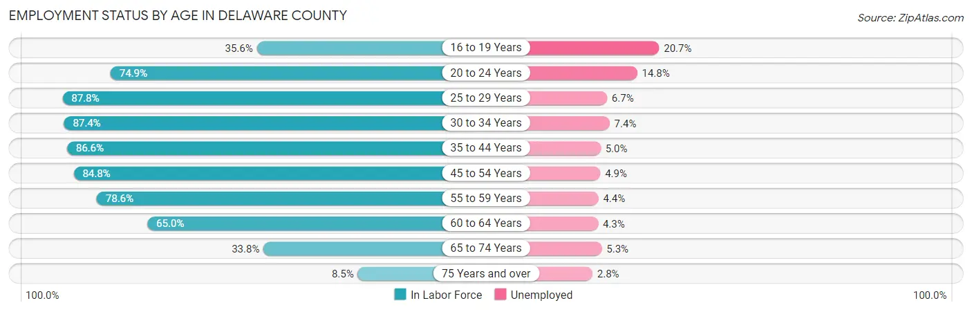 Employment Status by Age in Delaware County