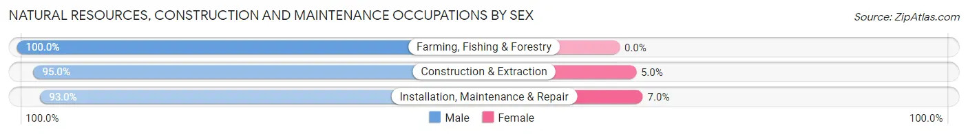 Natural Resources, Construction and Maintenance Occupations by Sex in Forest County