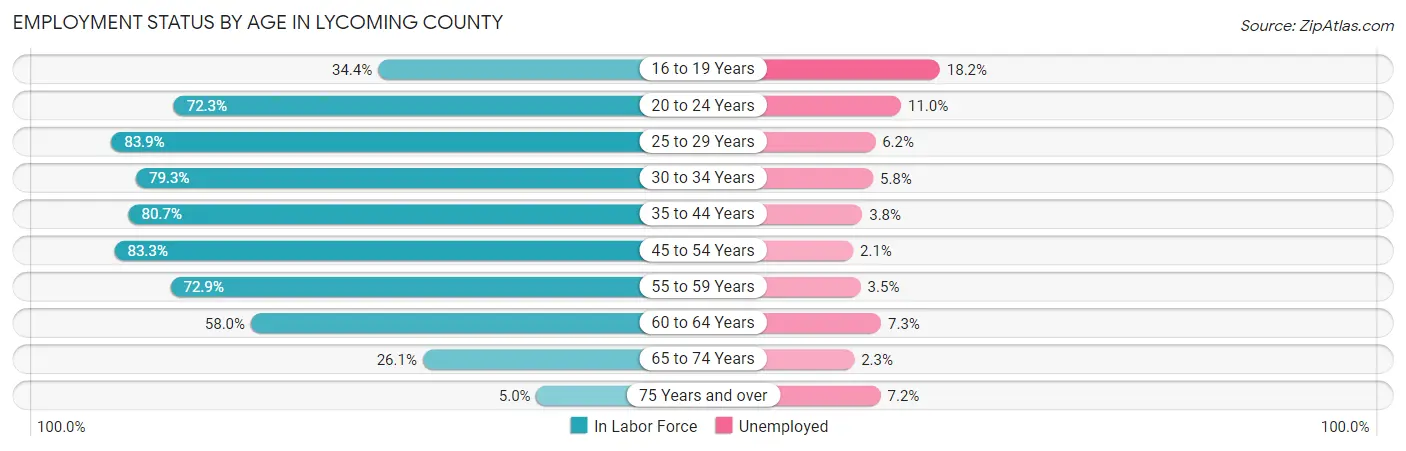 Employment Status by Age in Lycoming County