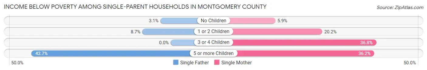Income Below Poverty Among Single-Parent Households in Montgomery County