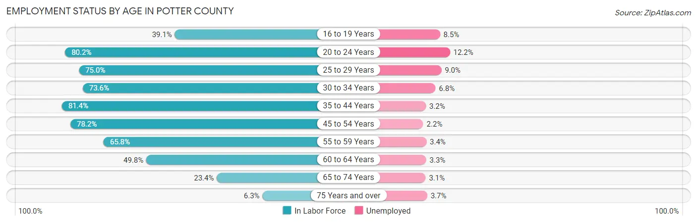 Employment Status by Age in Potter County