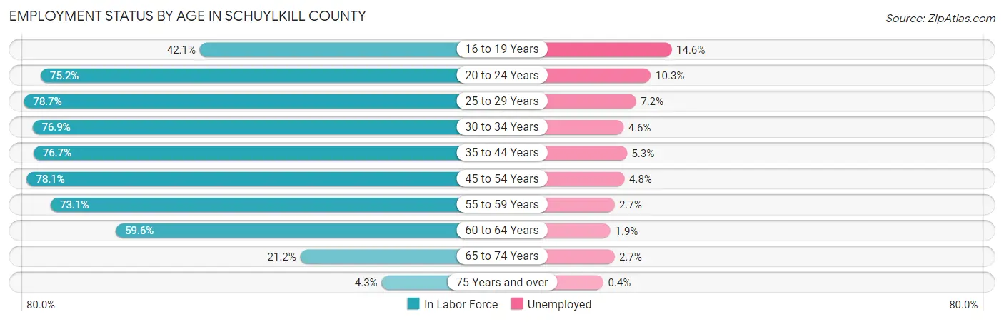 Employment Status by Age in Schuylkill County