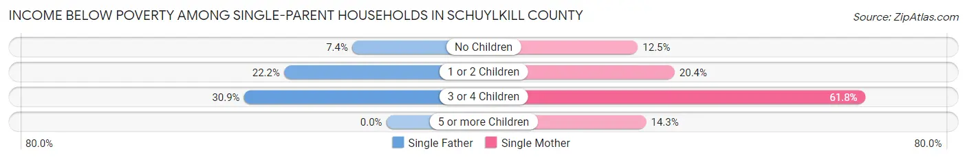 Income Below Poverty Among Single-Parent Households in Schuylkill County