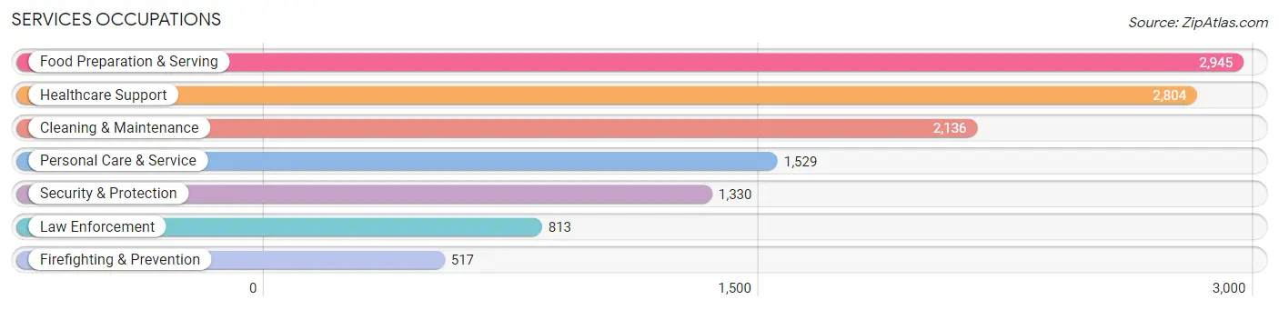 Services Occupations in Schuylkill County