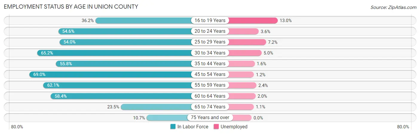 Employment Status by Age in Union County