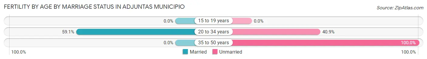 Female Fertility by Age by Marriage Status in Adjuntas Municipio