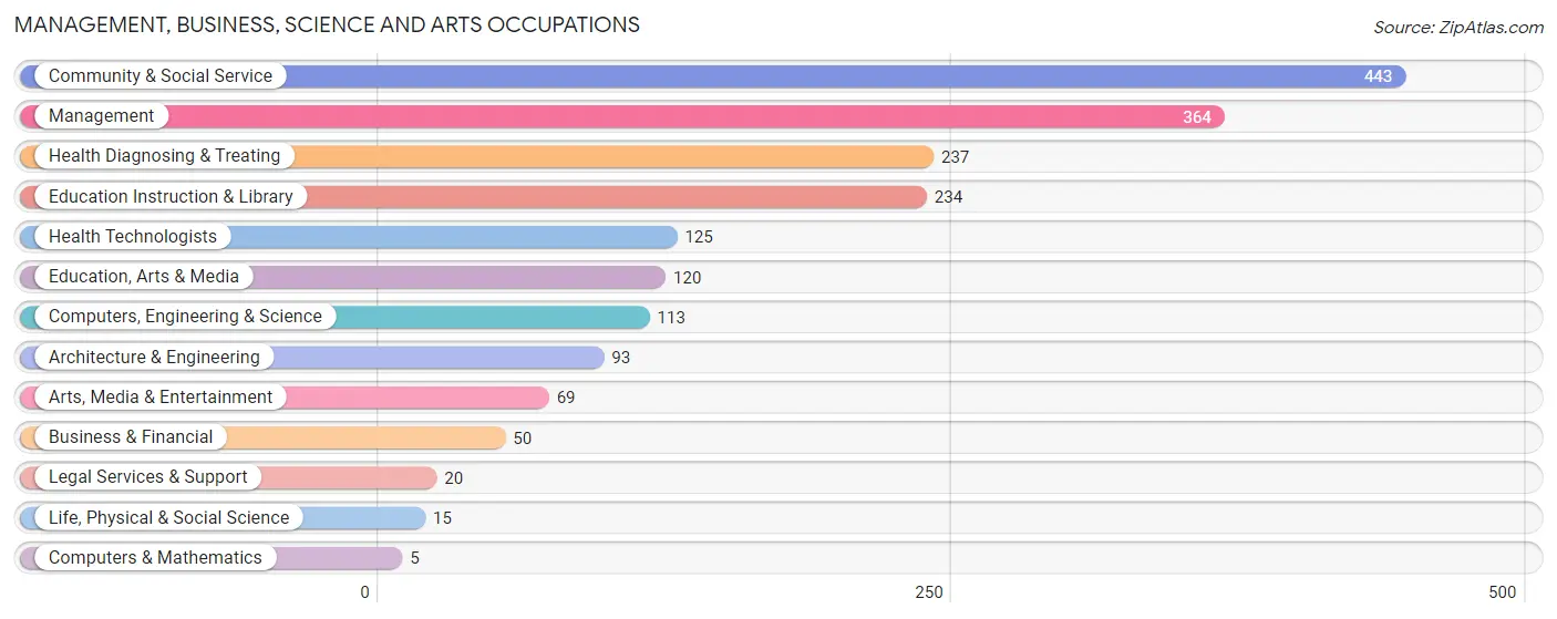 Management, Business, Science and Arts Occupations in Adjuntas Municipio