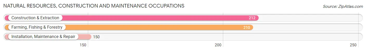 Natural Resources, Construction and Maintenance Occupations in Adjuntas Municipio