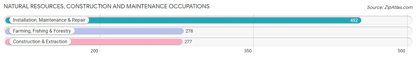 Natural Resources, Construction and Maintenance Occupations in Aibonito Municipio