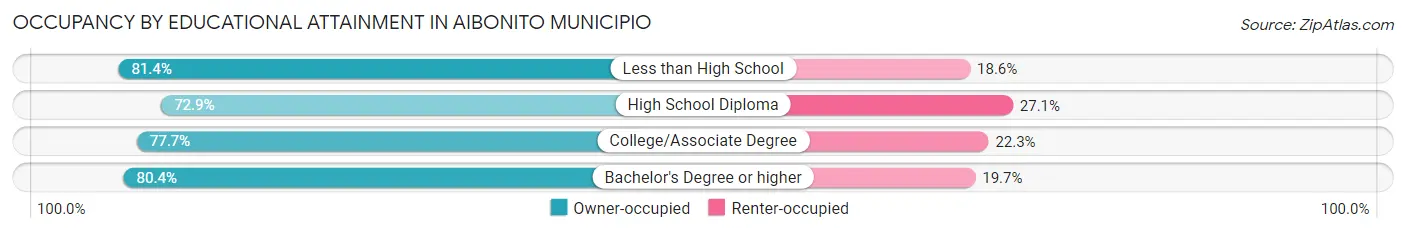 Occupancy by Educational Attainment in Aibonito Municipio