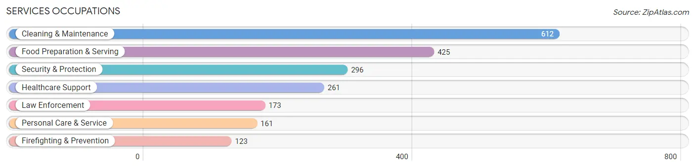 Services Occupations in Aibonito Municipio