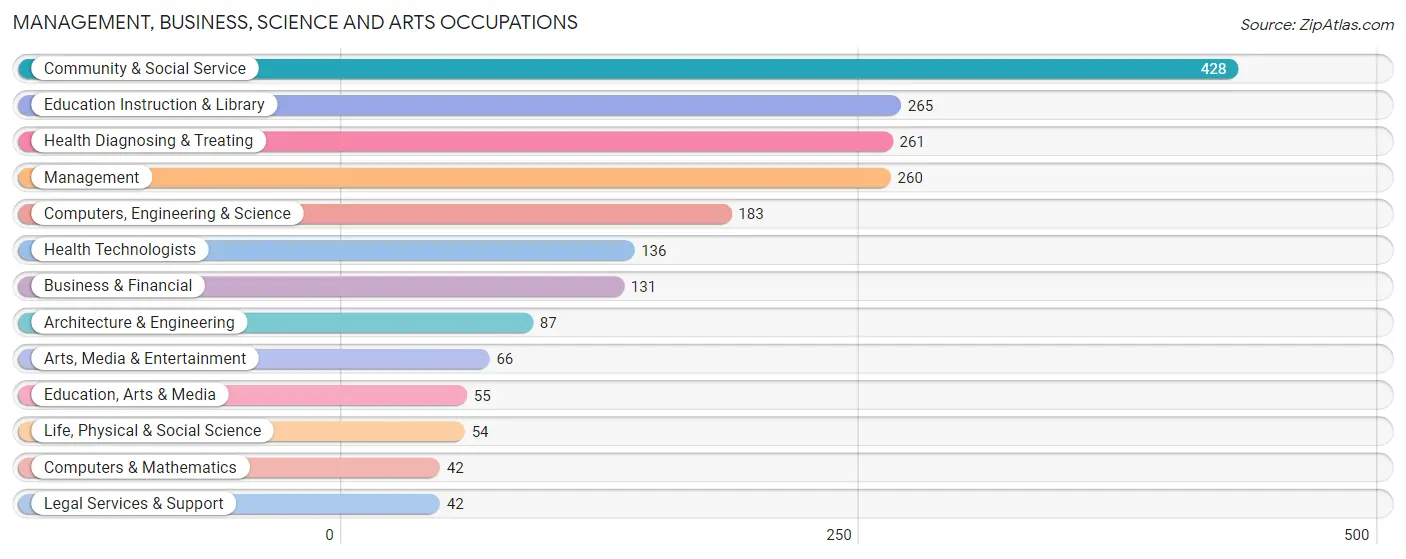 Management, Business, Science and Arts Occupations in Arroyo Municipio