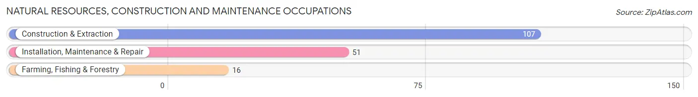 Natural Resources, Construction and Maintenance Occupations in Arroyo Municipio