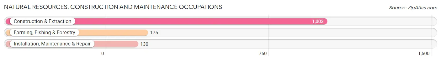 Natural Resources, Construction and Maintenance Occupations in Barranquitas Municipio