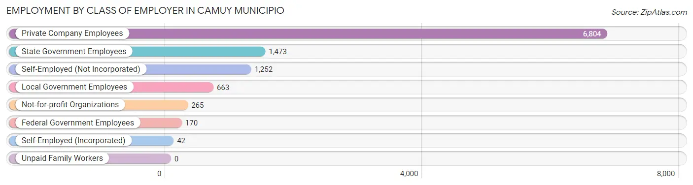 Employment by Class of Employer in Camuy Municipio