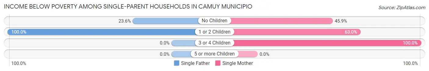 Income Below Poverty Among Single-Parent Households in Camuy Municipio