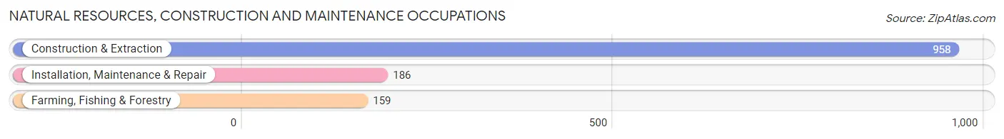 Natural Resources, Construction and Maintenance Occupations in Camuy Municipio